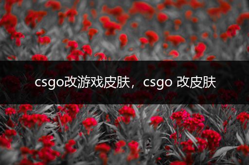 csgo改游戏皮肤，csgo 改皮肤