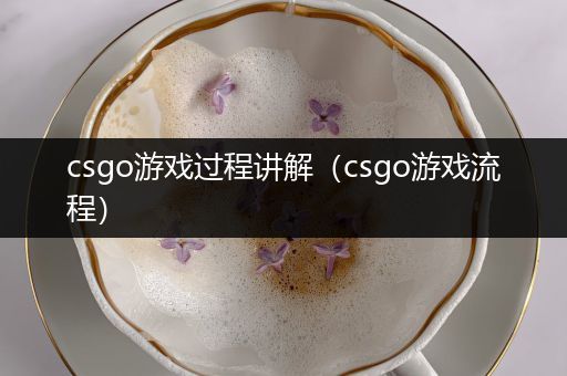 csgo游戏过程讲解（csgo游戏流程）