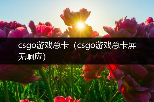 csgo游戏总卡（csgo游戏总卡屏无响应）