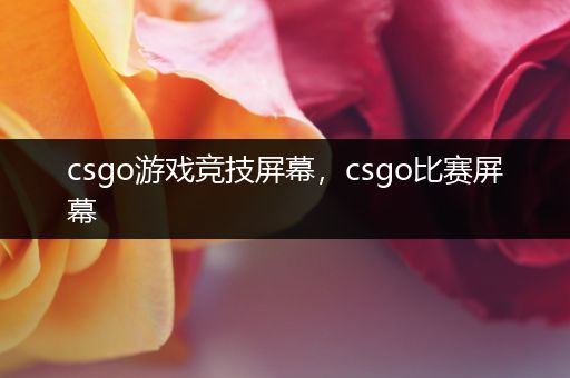 csgo游戏竞技屏幕，csgo比赛屏幕