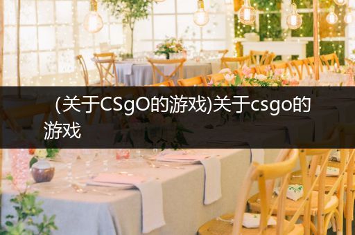 （关于CSgO的游戏)关于csgo的游戏