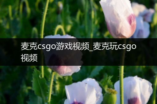 麦克csgo游戏视频_麦克玩csgo视频