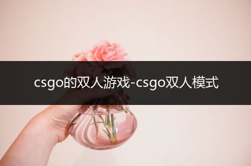 csgo的双人游戏-csgo双人模式