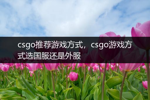 csgo推荐游戏方式，csgo游戏方式选国服还是外服