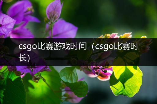 csgo比赛游戏时间（csgo比赛时长）