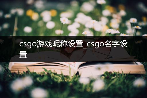 csgo游戏昵称设置_csgo名字设置