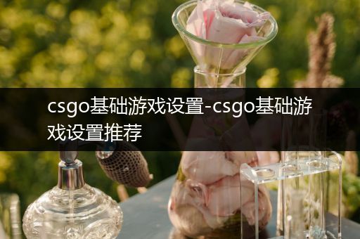 csgo基础游戏设置-csgo基础游戏设置推荐