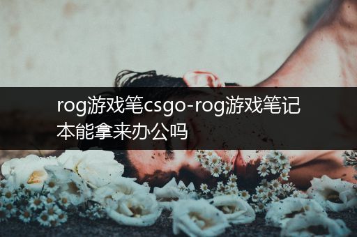 rog游戏笔csgo-rog游戏笔记本能拿来办公吗