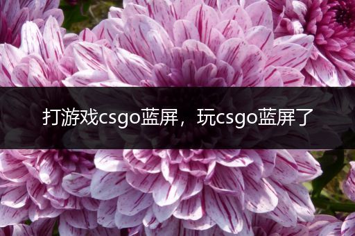 打游戏csgo蓝屏，玩csgo蓝屏了