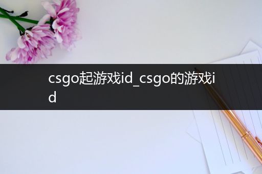 csgo起游戏id_csgo的游戏id