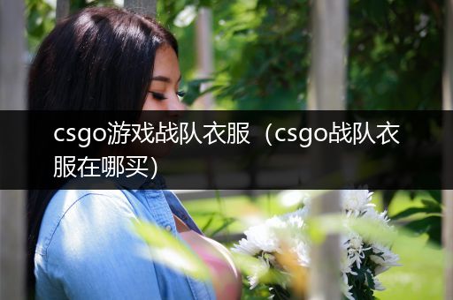 csgo游戏战队衣服（csgo战队衣服在哪买）