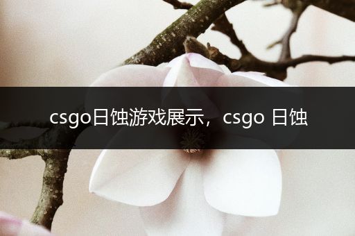 csgo日蚀游戏展示，csgo 日蚀