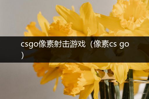 csgo像素射击游戏（像素cs go）