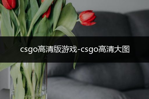 csgo高清版游戏-csgo高清大图