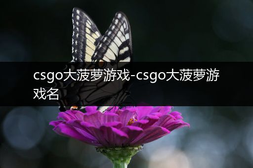 csgo大菠萝游戏-csgo大菠萝游戏名