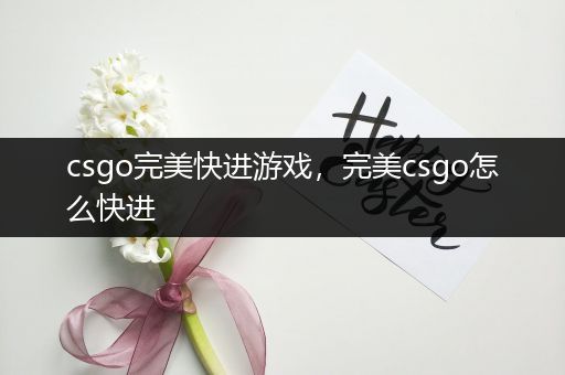 csgo完美快进游戏，完美csgo怎么快进