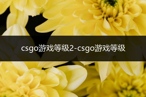 csgo游戏等级2-csgo游戏等级