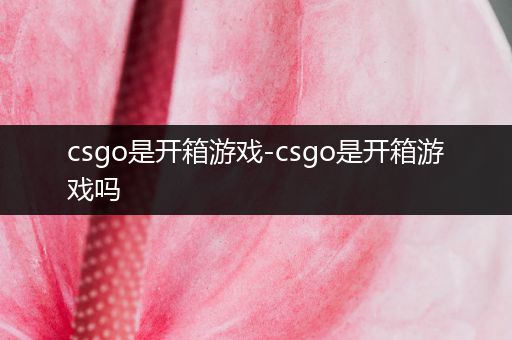 csgo是开箱游戏-csgo是开箱游戏吗