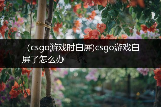 （csgo游戏时白屏)csgo游戏白屏了怎么办