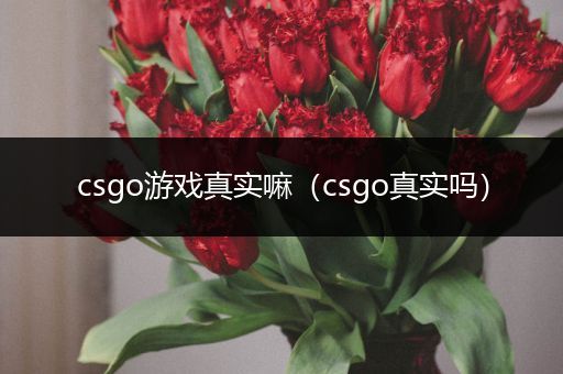 csgo游戏真实嘛（csgo真实吗）