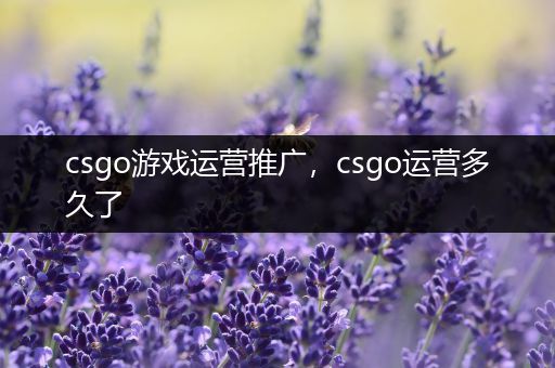 csgo游戏运营推广，csgo运营多久了