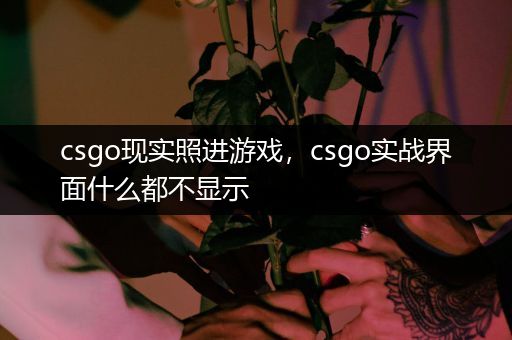 csgo现实照进游戏，csgo实战界面什么都不显示