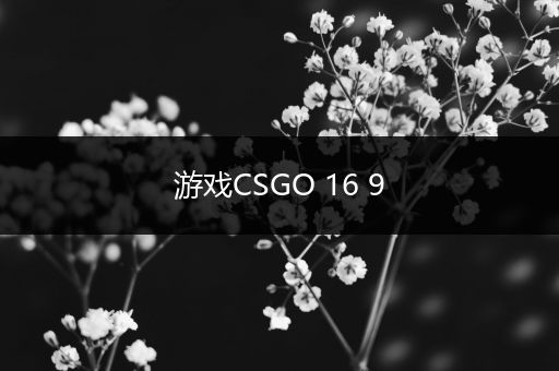 游戏CSGO 16 9