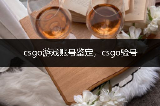 csgo游戏账号鉴定，csgo验号