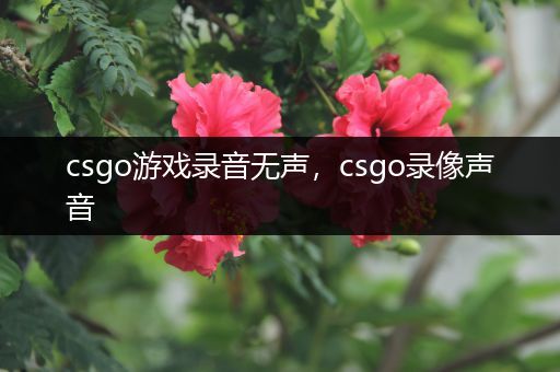 csgo游戏录音无声，csgo录像声音