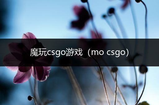 魔玩csgo游戏（mo csgo）