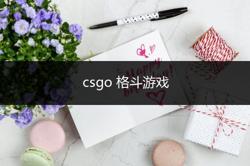 csgo 格斗游戏