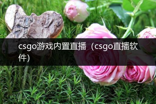 csgo游戏内置直播（csgo直播软件）