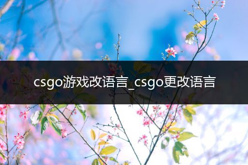 csgo游戏改语言_csgo更改语言