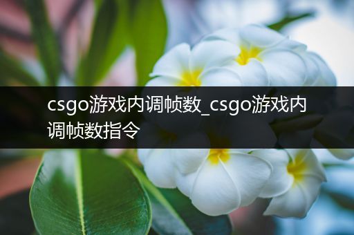 csgo游戏内调帧数_csgo游戏内调帧数指令