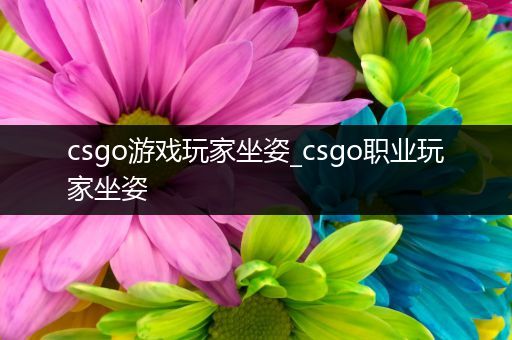 csgo游戏玩家坐姿_csgo职业玩家坐姿