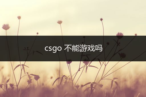 csgo 不能游戏吗