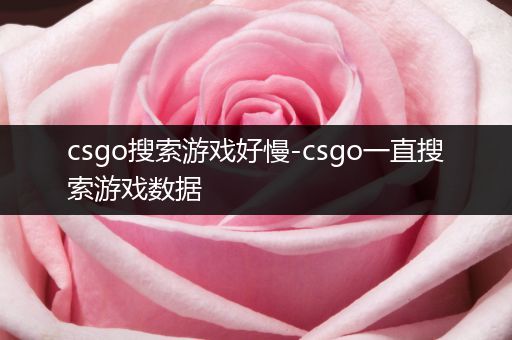 csgo搜索游戏好慢-csgo一直搜索游戏数据