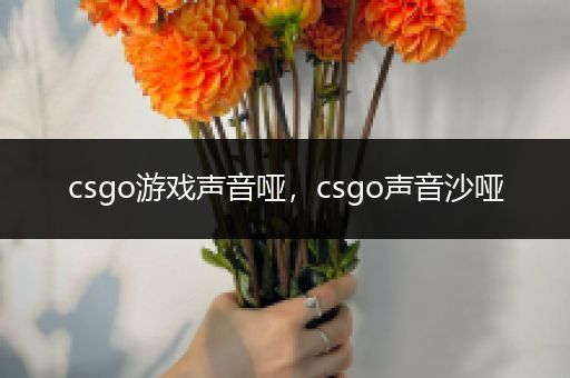 csgo游戏声音哑，csgo声音沙哑