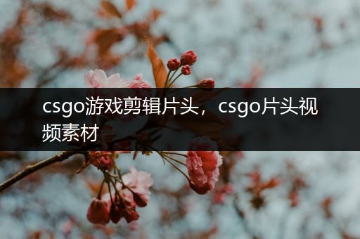 csgo游戏剪辑片头，csgo片头视频素材