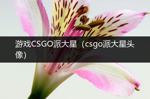 游戏CSGO派大星（csgo派大星头像）