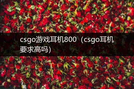 csgo游戏耳机800（csgo耳机要求高吗）