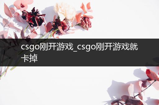 csgo刚开游戏_csgo刚开游戏就卡掉