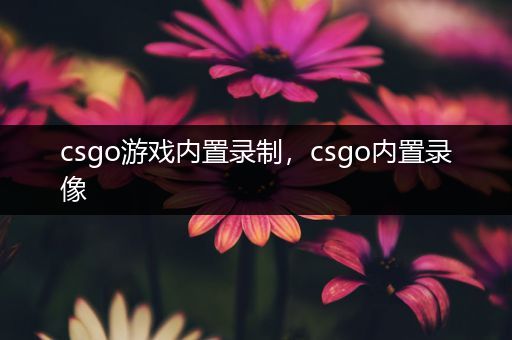 csgo游戏内置录制，csgo内置录像