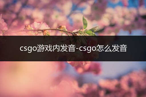 csgo游戏内发音-csgo怎么发音