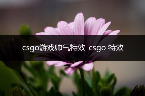 csgo游戏帅气特效_csgo 特效