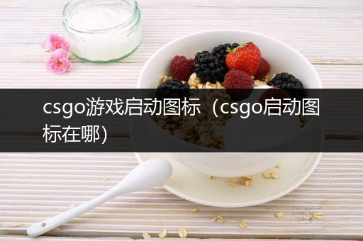 csgo游戏启动图标（csgo启动图标在哪）