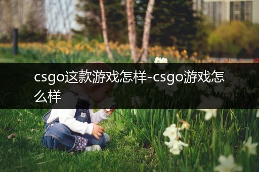 csgo这款游戏怎样-csgo游戏怎么样