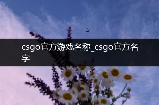 csgo官方游戏名称_csgo官方名字