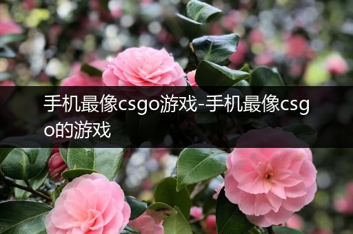 手机最像csgo游戏-手机最像csgo的游戏