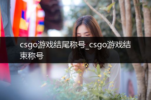 csgo游戏结尾称号_csgo游戏结束称号